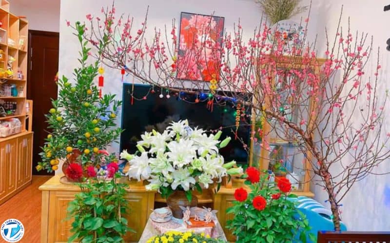 Trang trí kết hợp các loại hoa tươi mang nhiều màu sắc và ý nghĩa cho ngày Tết